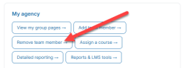 My Agency card with the Remove team member button highlighted.