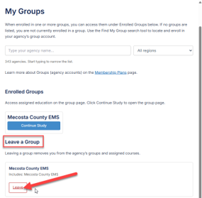 My Groups page showing an enrolled group with Continue Study and Leave buttons.
