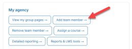 My Agency card with the Add team member button highlighted.